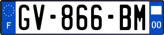 GV-866-BM
