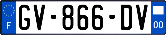 GV-866-DV