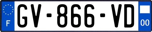 GV-866-VD