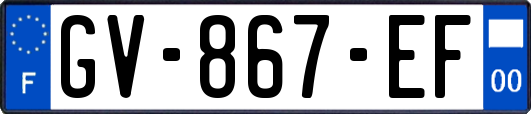 GV-867-EF