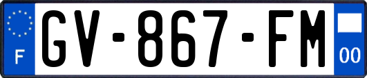 GV-867-FM