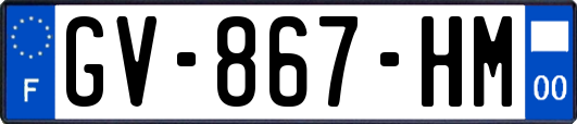 GV-867-HM