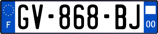 GV-868-BJ