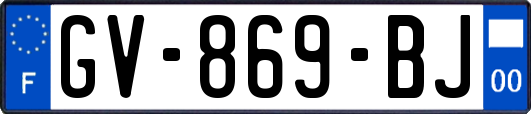 GV-869-BJ