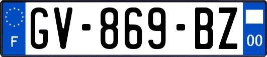 GV-869-BZ