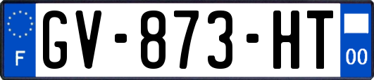 GV-873-HT