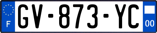 GV-873-YC