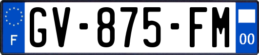 GV-875-FM