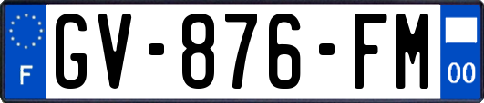 GV-876-FM