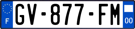 GV-877-FM