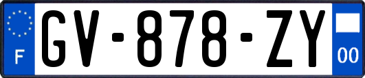 GV-878-ZY