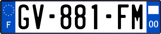 GV-881-FM