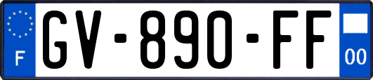 GV-890-FF