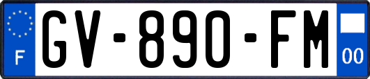 GV-890-FM
