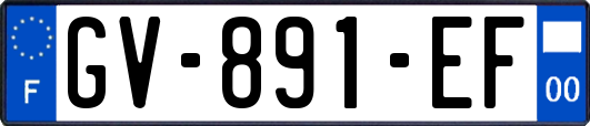 GV-891-EF