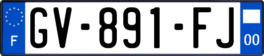 GV-891-FJ