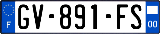 GV-891-FS