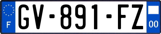 GV-891-FZ