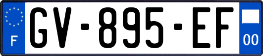 GV-895-EF