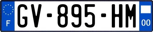 GV-895-HM