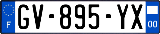 GV-895-YX