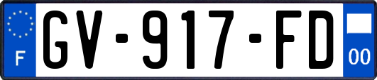 GV-917-FD