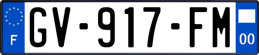 GV-917-FM