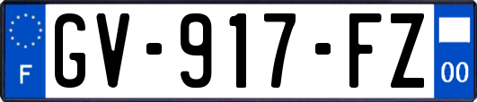 GV-917-FZ