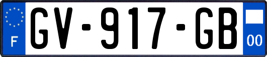 GV-917-GB