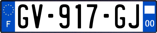 GV-917-GJ
