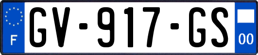 GV-917-GS