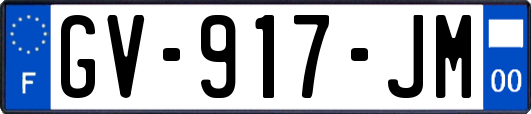 GV-917-JM