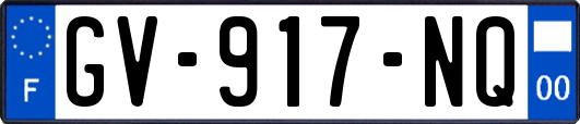 GV-917-NQ