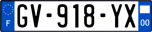 GV-918-YX