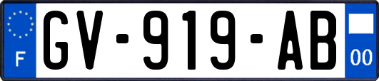 GV-919-AB