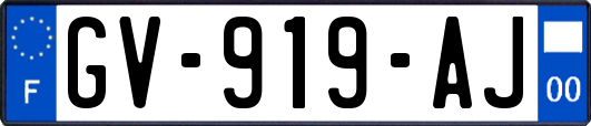 GV-919-AJ