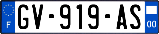 GV-919-AS