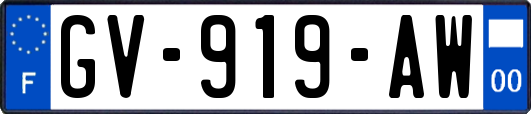 GV-919-AW