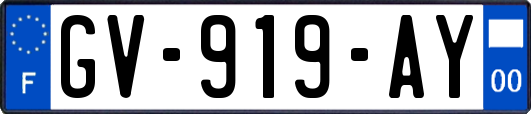 GV-919-AY