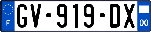 GV-919-DX