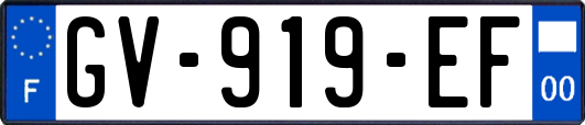 GV-919-EF