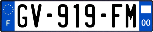 GV-919-FM