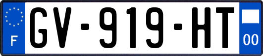 GV-919-HT