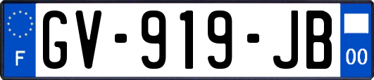 GV-919-JB