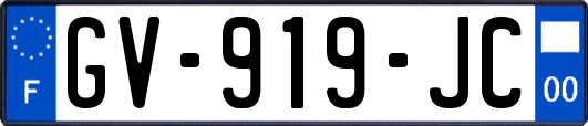 GV-919-JC