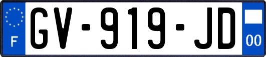 GV-919-JD