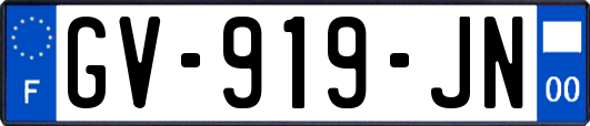 GV-919-JN