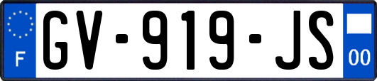GV-919-JS