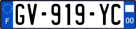 GV-919-YC