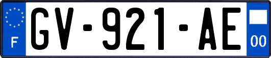 GV-921-AE